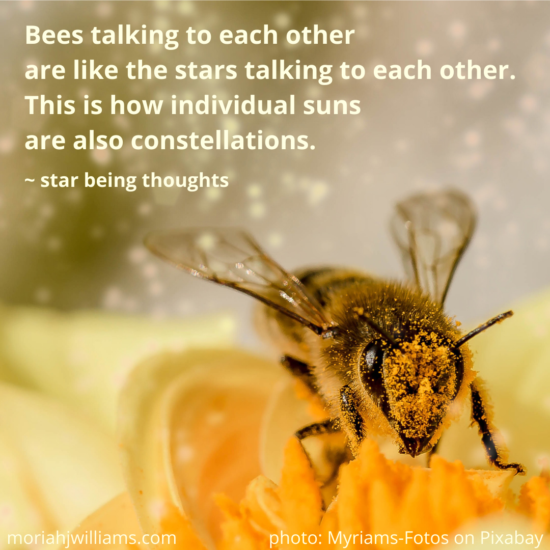 bees constellations