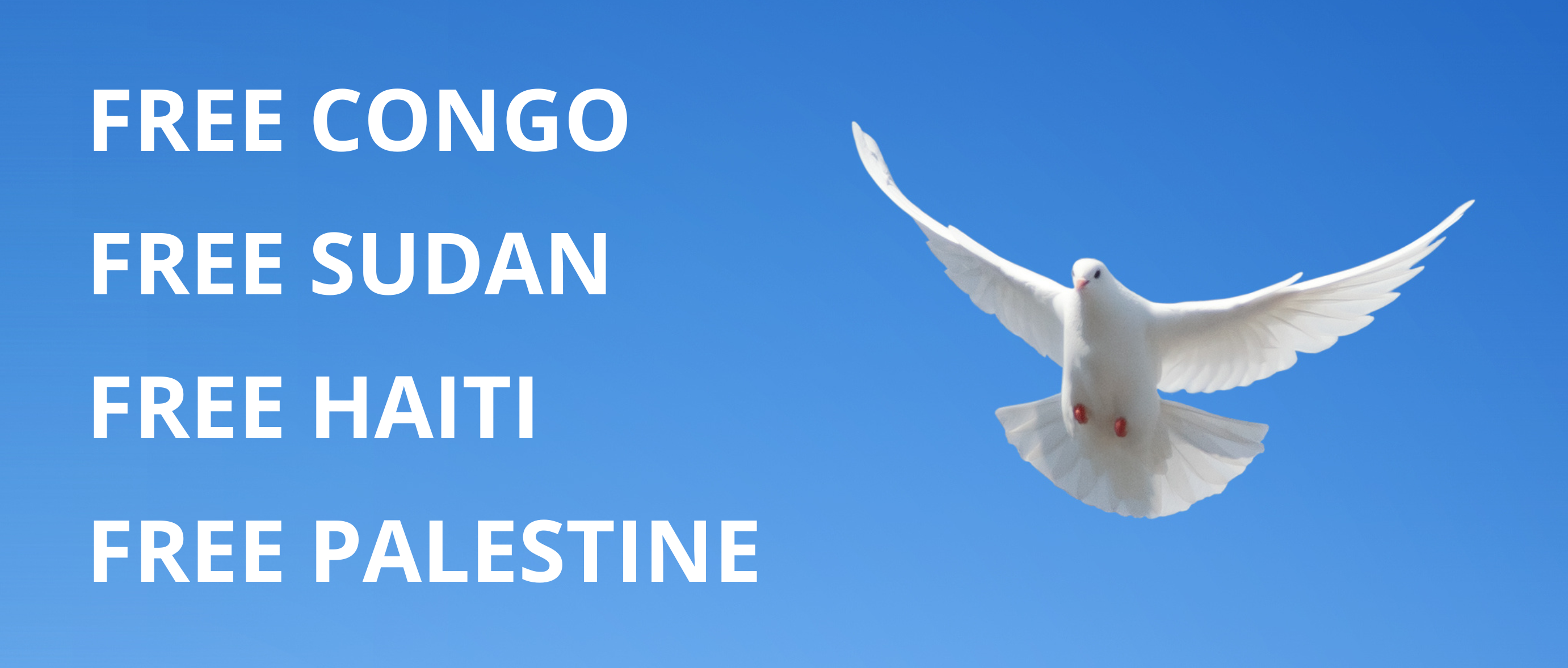 FREE CONGO FREE SUDAN FREE HAITI FREE PALESTINE (1700 x 850 px) (1).png