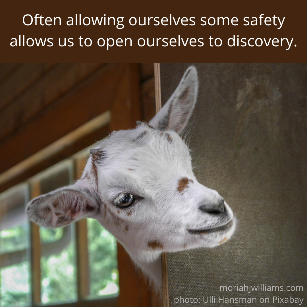 safety discovery.png