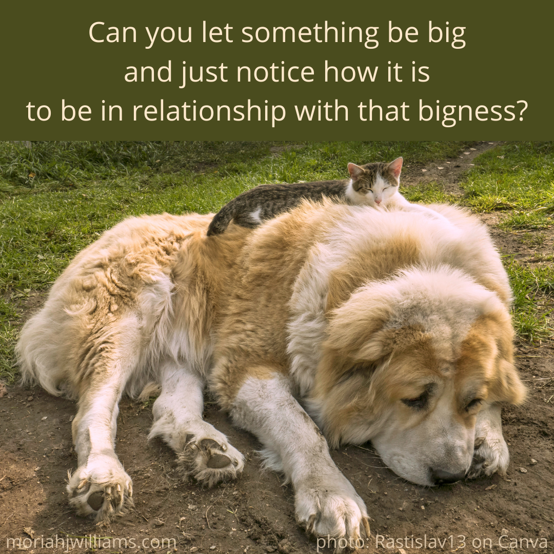 let something be big.png