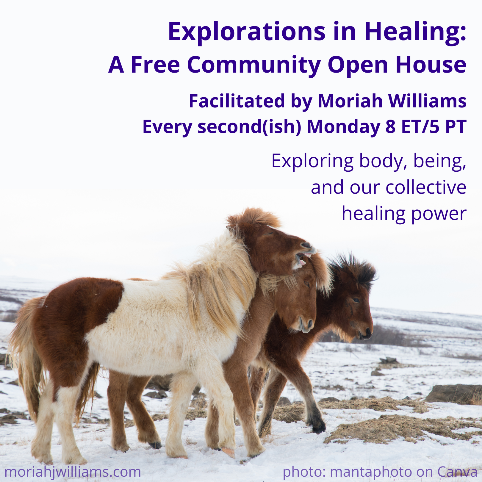 [Image: Side view of three wild horses walking shoulder to shoulder with energy across a snowy open landscape. Iceland.  Text: “Explorations in Healing: A Free Community Open House Facilitated by Moriah Williams Every second(ish) Monday 8 ET/5 PT Exploring body, being, and our collective healing power”  Credit: “moriahjwilliams.com photo: mantaphoto on Canva”]