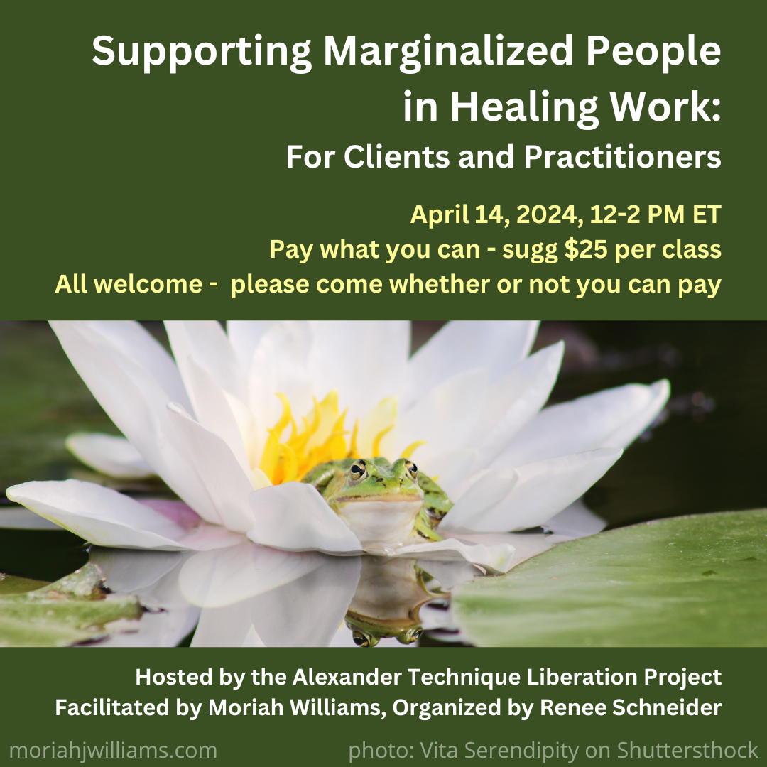 Supporting Marginalized People in Healing Work event poster
