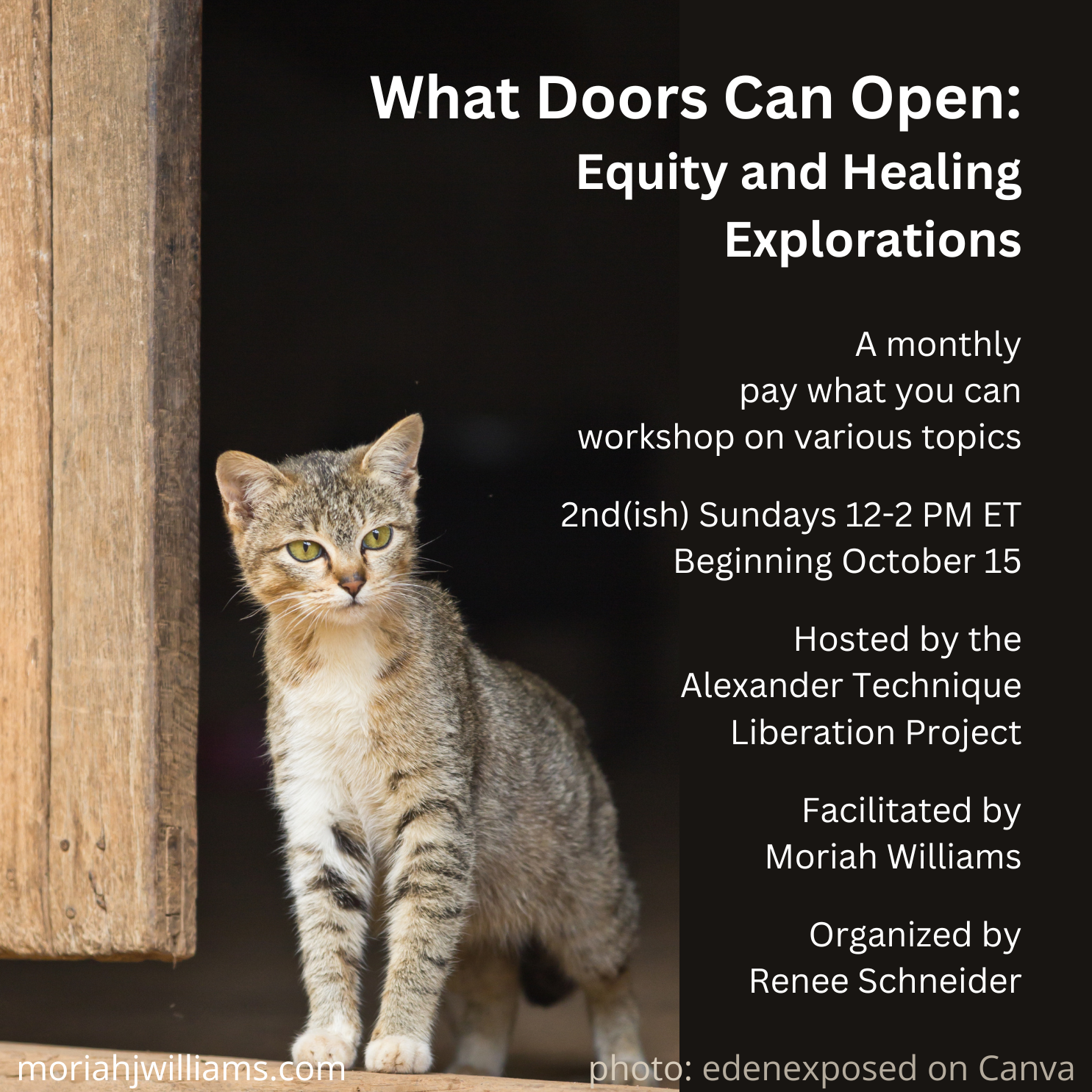 Tabby cat looking out a barn doorway with curiosity. Text: What Doors Can Open: Equity and Healing Explorations, A monthly pay what you can workshop on various topics, 2nd(ish) Sundays 12-2 PM ET Beginning October 15, Hosted by the Alexander Technique Liberation Project, Facilitated by Moriah Williams