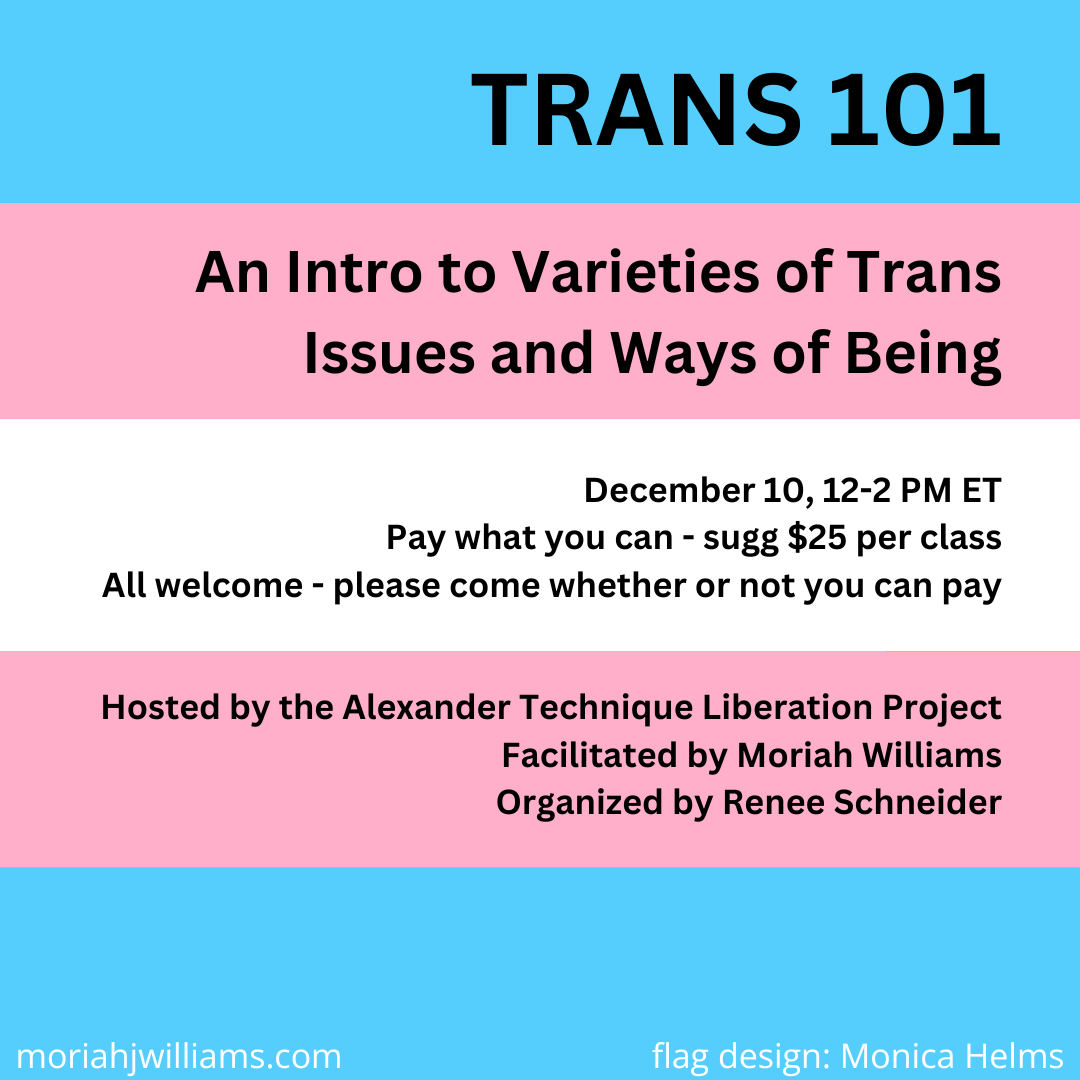 Trans 101 event poster