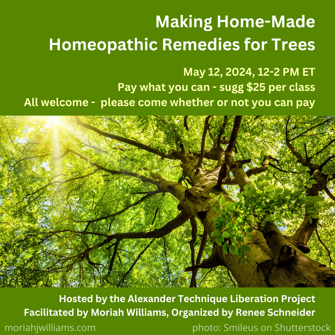 Making Home-Made Homeopathic Remedies for Trees event poster