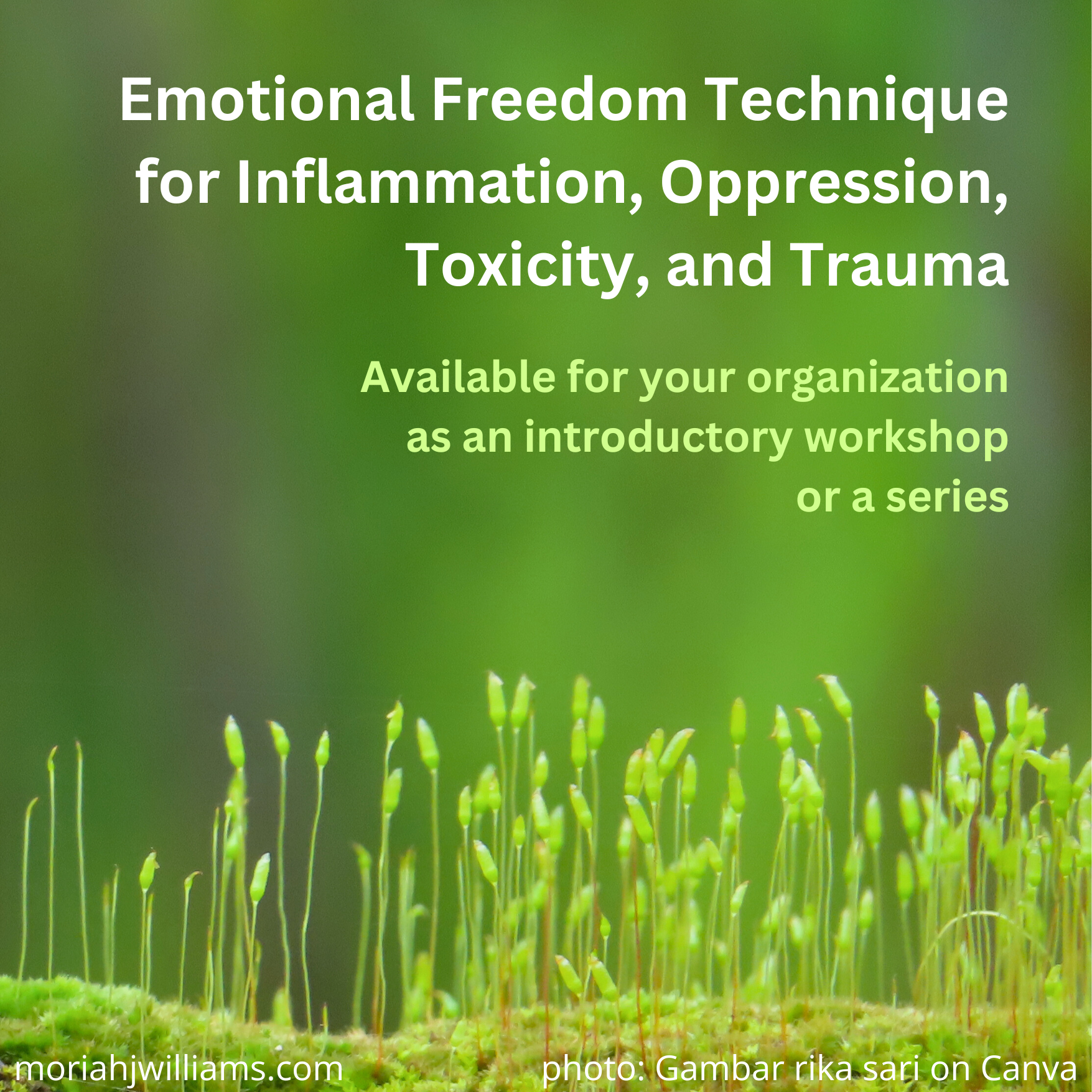EFT for Inflammation, Oppression, Toxicity, and Trauma event poster