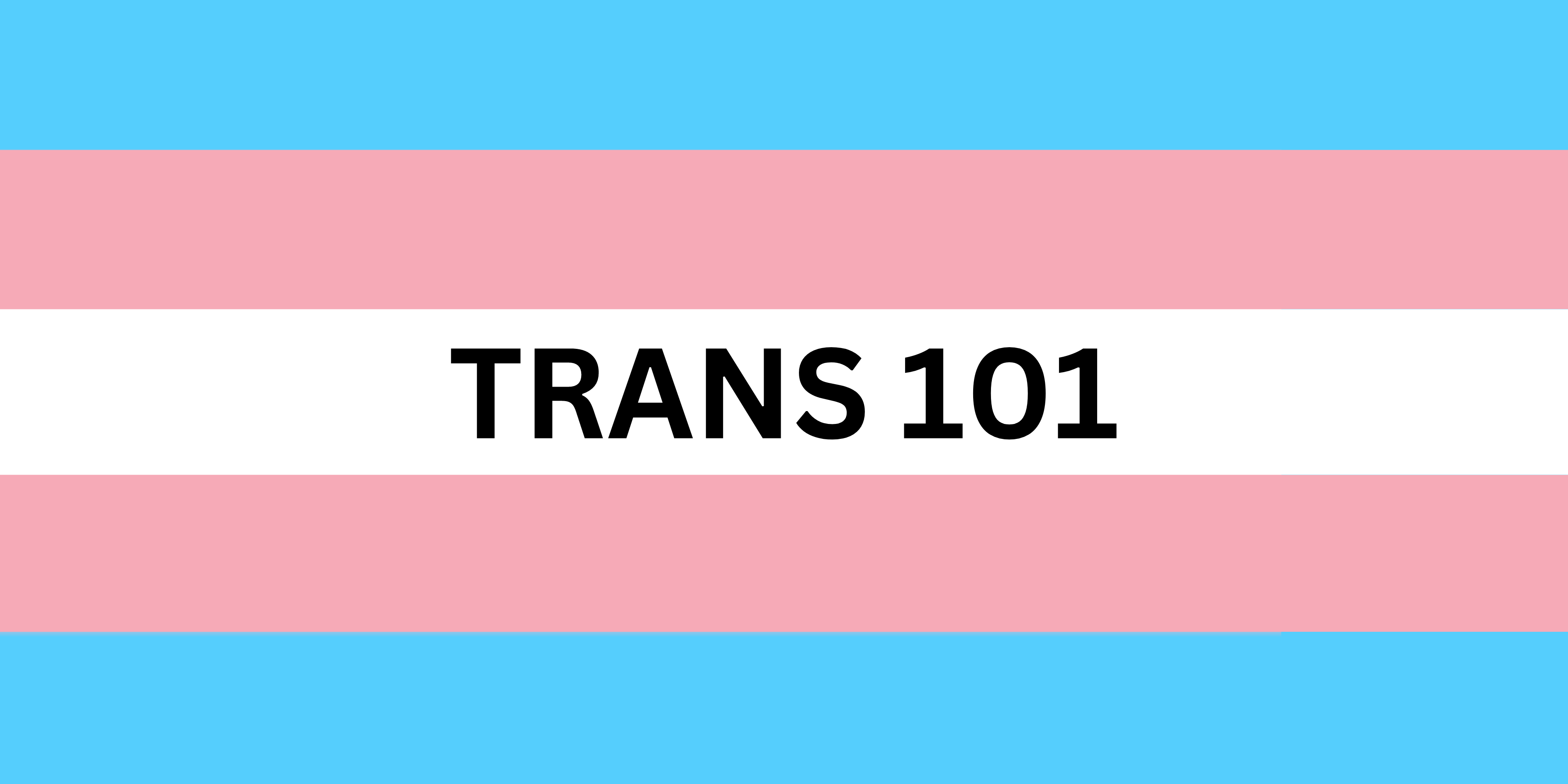 Trans pride flag with the words Trans 101 in the white stripe